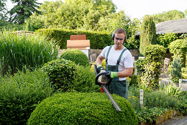 Best Lawn Seeding  in Claremont, NH